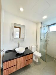 Princess Of Wales Park (D10), Semi-Detached #551847911